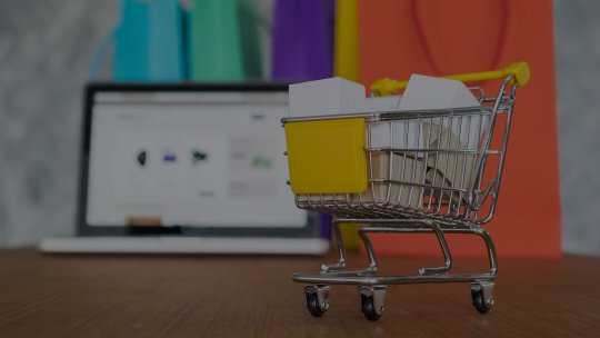 Retail Revelations: Insights and Inspiration for E-Commerce Success